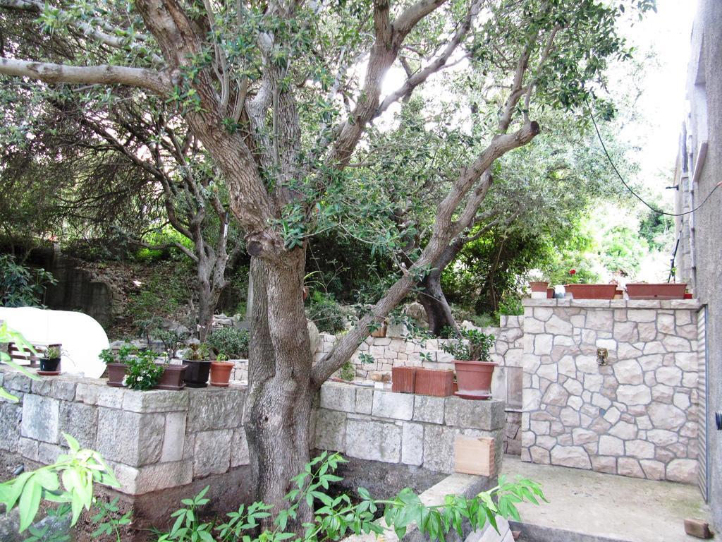 Apartmans And Rooms Dunjini Dvori Korčula Exterior foto